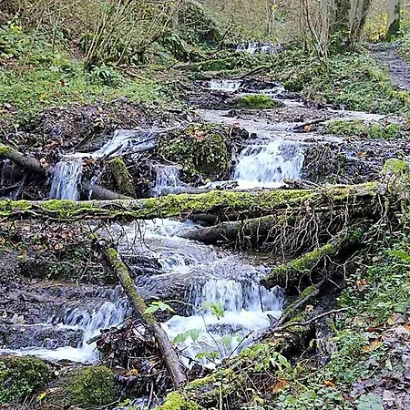Le Petit De Maurenne